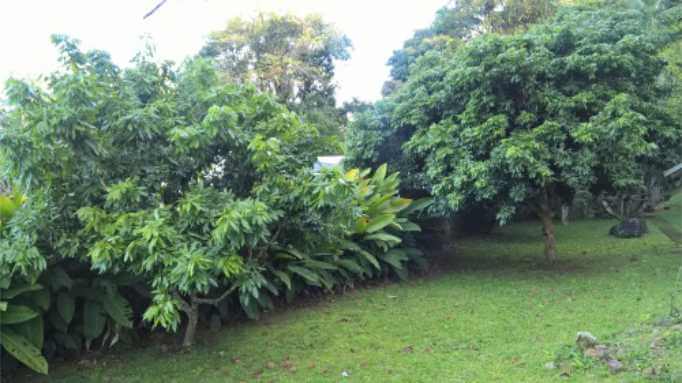 Local Atendimento - Consultor Anderson Maia - Especialista em Performance Emocional